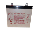 EnerSys Genesis NP55-12FR Battery with Flame Retardant Case