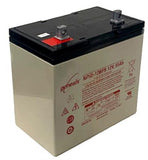 EnerSys Genesis NP55-12FR Battery with Flame Retardant Case