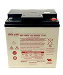 EnerSys Datasafe NPX-100RFR Battery with Flame Retardant Case