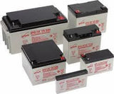 EnerSys Genesis NP18-12B Battery