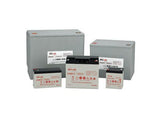 EnerSys Datasafe 12HX50T-FR Battery